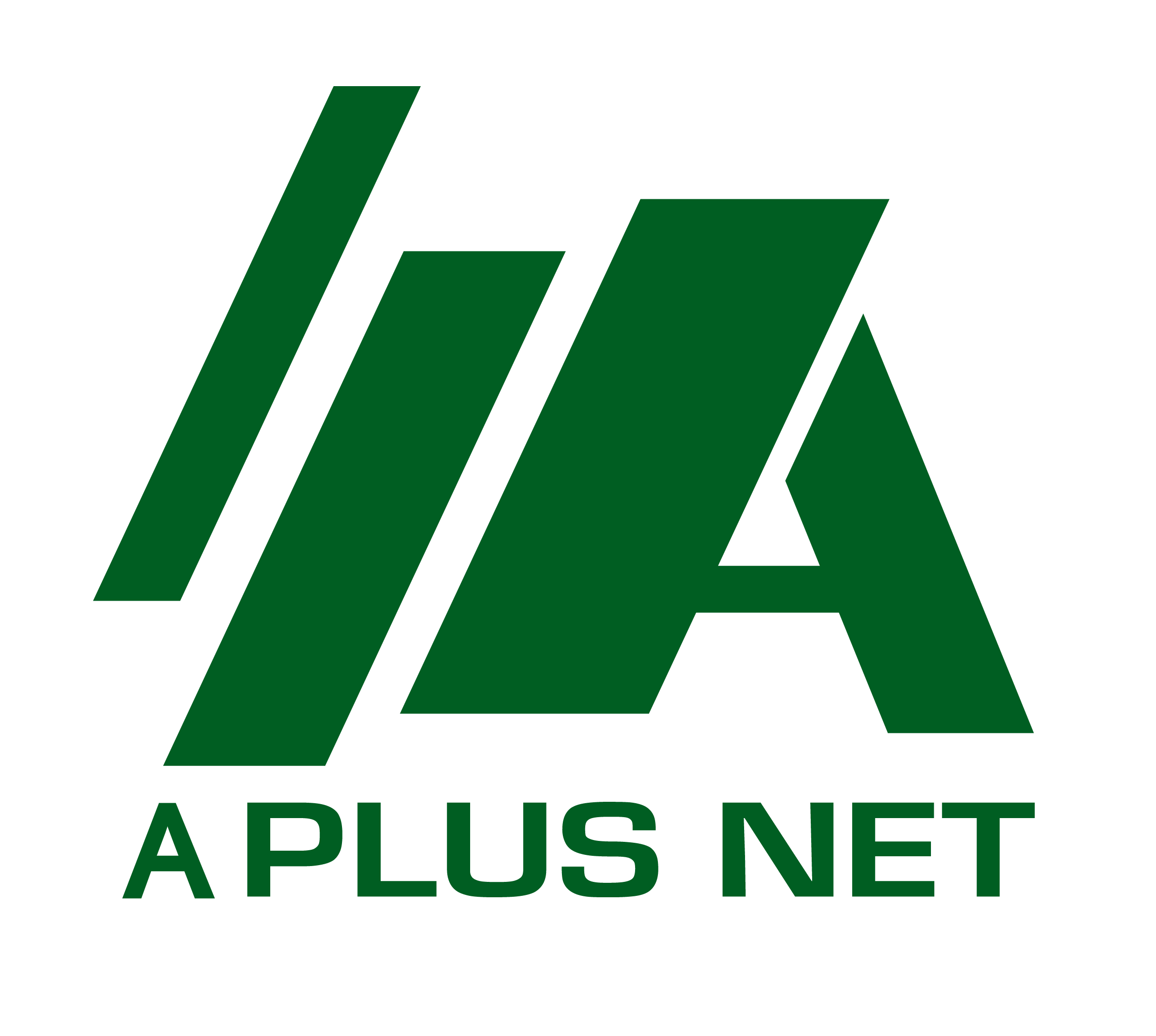 A Plus Net